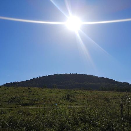 Domek Nasze Miejsce Lomnica  Exterior foto